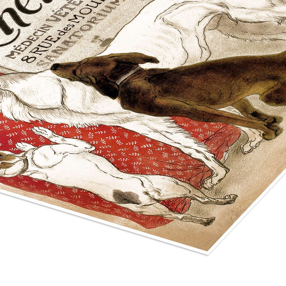 Posterlounge Wandbild Clinique Cheron (Französisch), Théophile-Alexandre Steinlen, erhältlich als Poster, Leinwandbild, Wandsticker oder Acrylglasbild