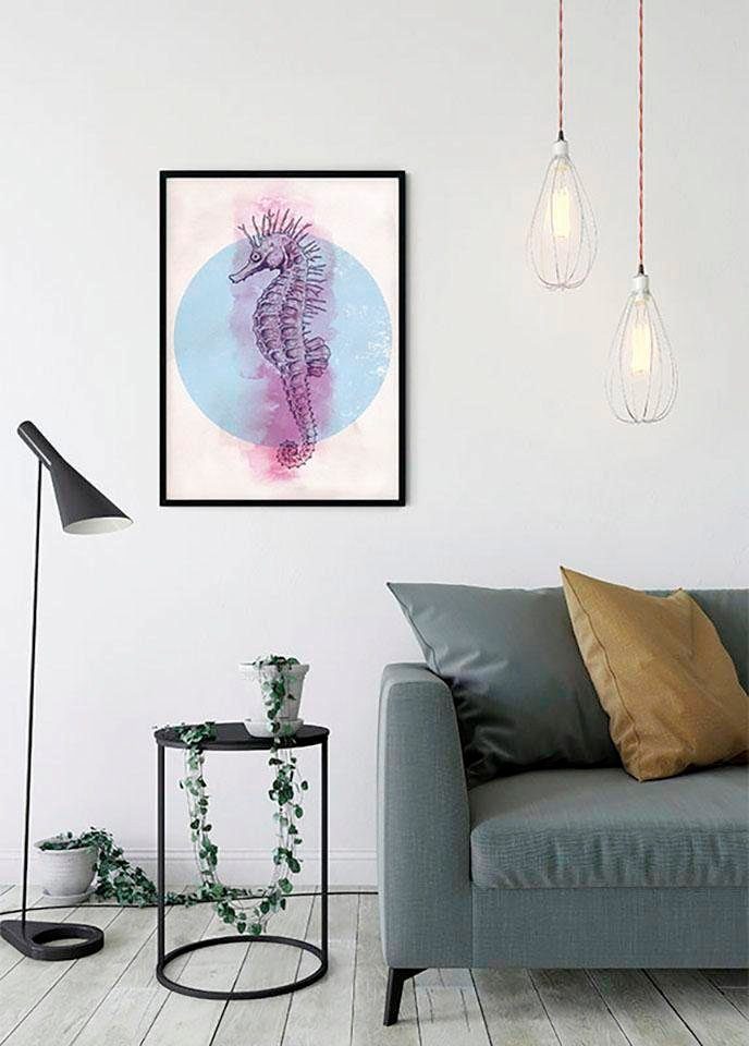 Komar Poster Sea Horse Circle, Tiere (1 St), Kinderzimmer, Schlafzimmer, Wohnzimmer | Poster