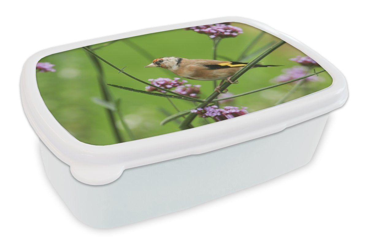 Lunchbox Brotdose, Brotbox Jungs und Ein zwischen violetten Stieglitz und Kunststoff, Mädchen für MuchoWow Blumen, (2-tlg), für Kinder weiß Erwachsene,