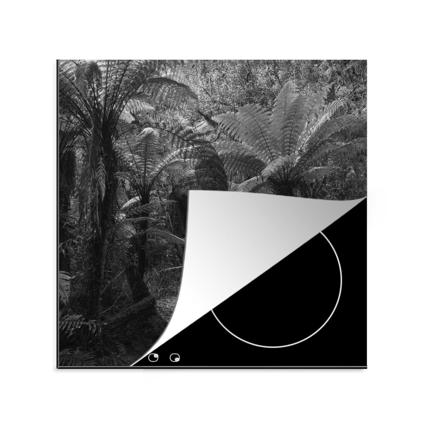 MuchoWow Herdblende-/Abdeckplatte Neuseeland - Pfad - Dschungel, Vinyl, (1 tlg), 78x78 cm, Ceranfeldabdeckung, Arbeitsplatte für küche