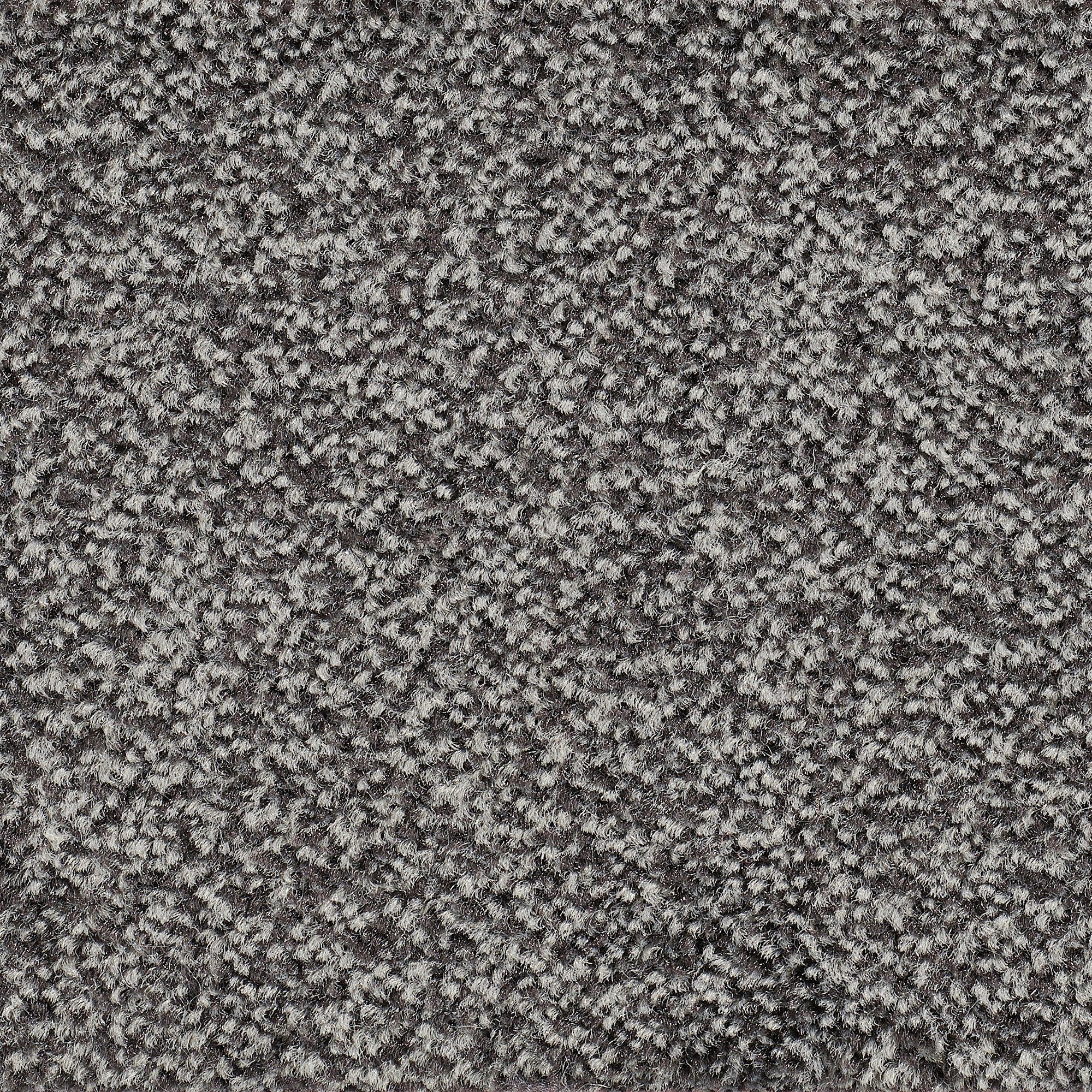 Teppichboden Veloursteppich Juno, Bodenmeister, rechteckig, Höhe: 8,5 mm, Wohnzimmer, Schlafzimmer, Kinderzimmer, Breite 400/500 cm anthrazit grau