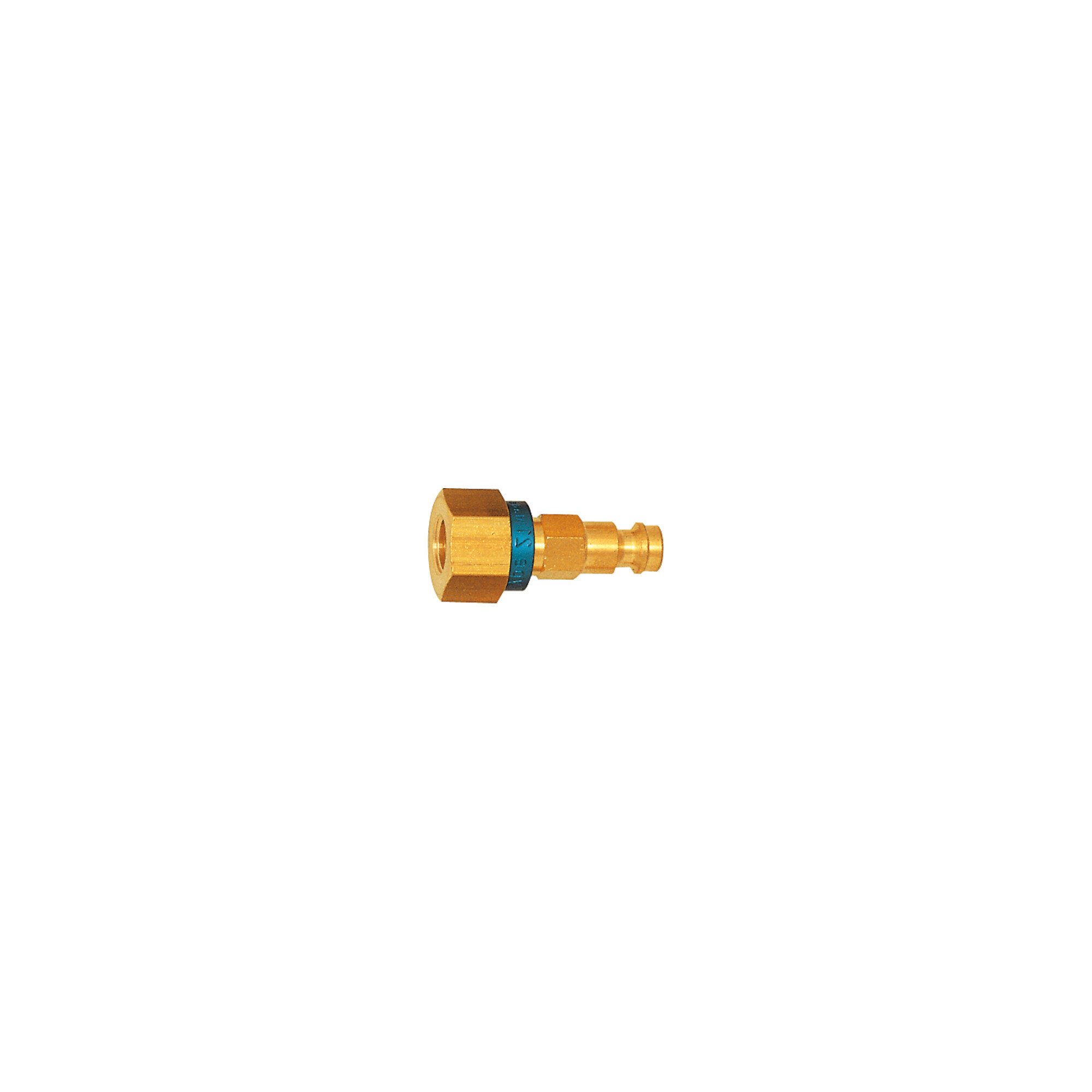 RIEGLER Gartenschlauch Riegler Unverwechselbarer Nippel NW 5, Messing blank, G 1/4 IG, braun