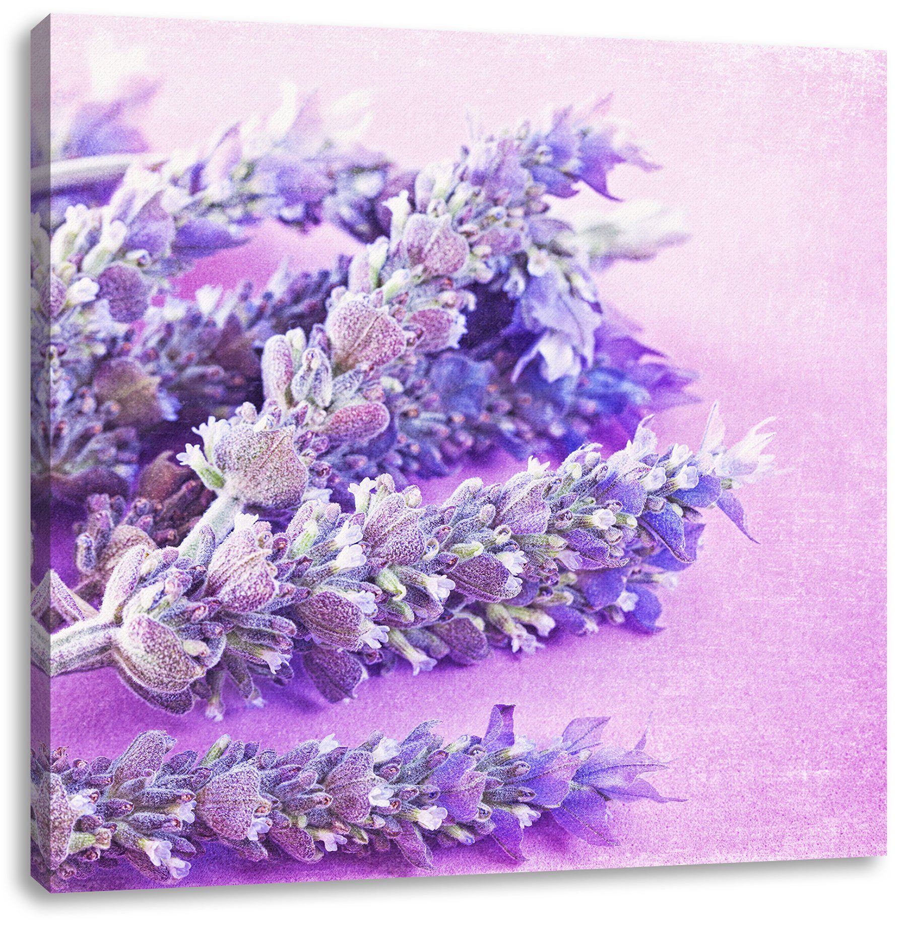 Pixxprint Leinwandbild getrockneter Lavendel, getrockneter Zackenaufhänger inkl. Lavendel St), (1 Leinwandbild fertig bespannt