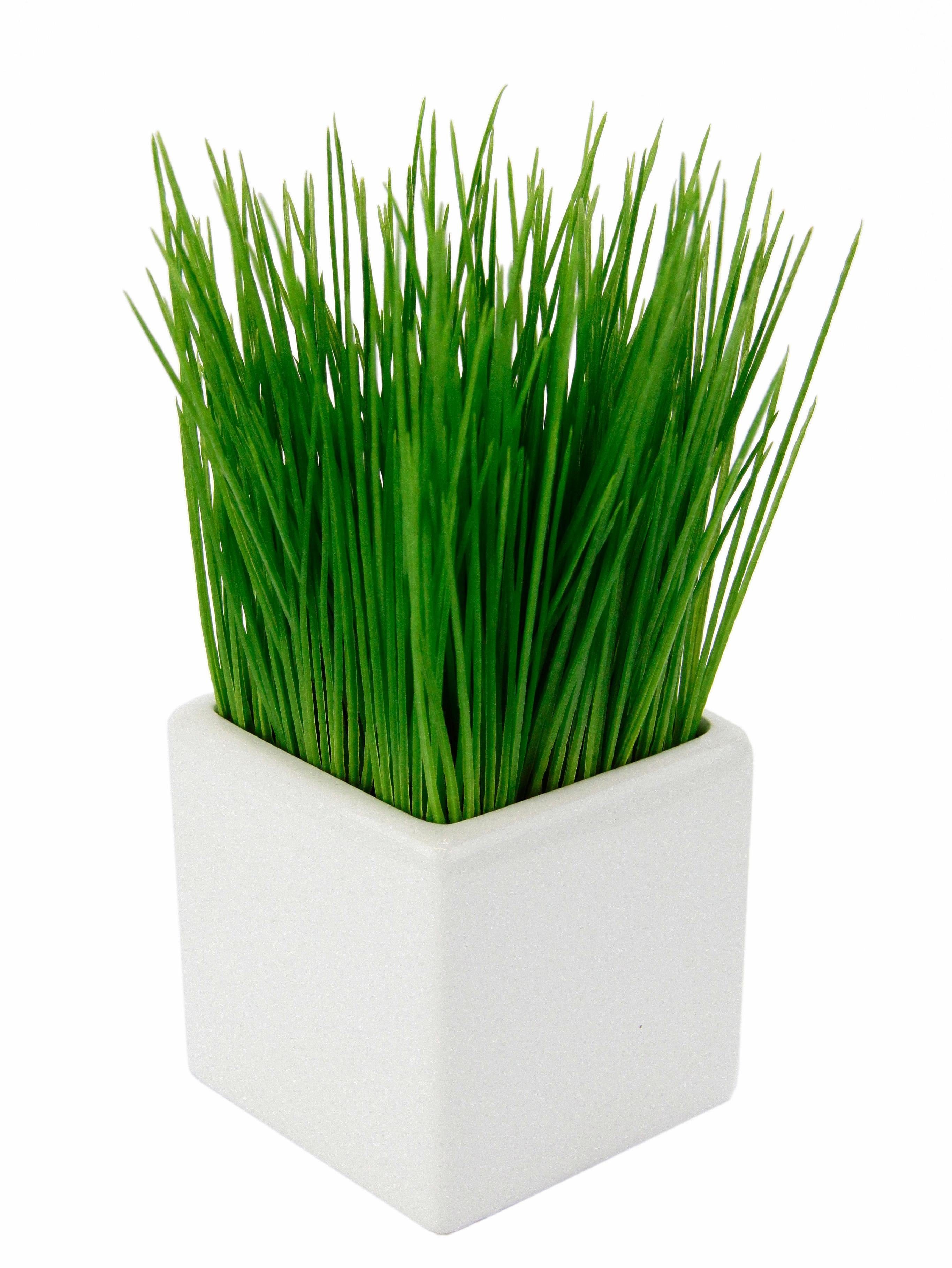 Kunstpflanze Gras Gras, I.GE.A., Höhe 22 cm günstig online kaufen