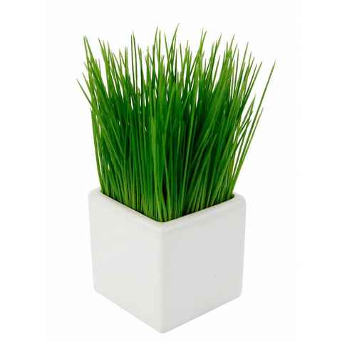 Kunstpflanze Gras Gras, I.GE.A., Höhe 22 cm