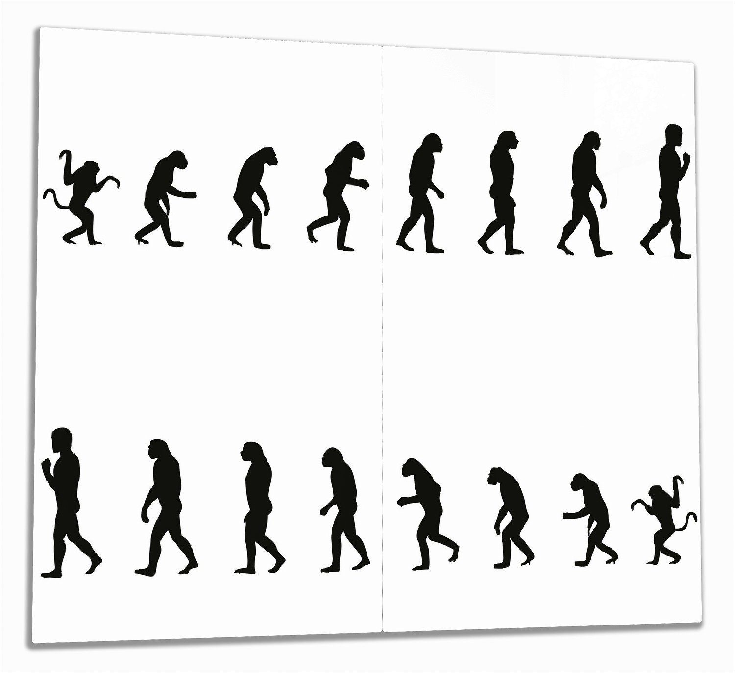 Wallario Herd-Abdeckplatte Evolution - Die Entwicklung des Menschen, ESG-Sicherheitsglas, (Glasplatte, 2 tlg., inkl. 5mm Noppen), verschiedene Größen