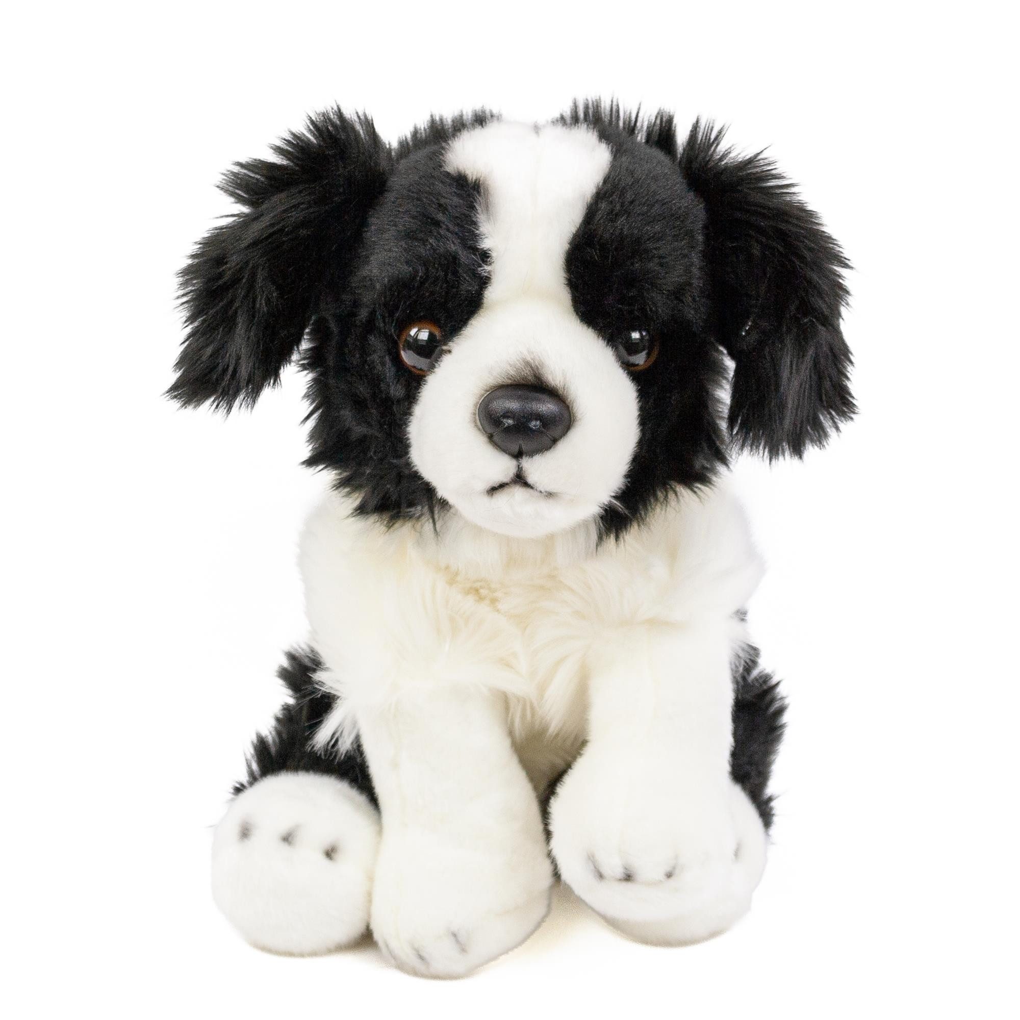 Teddys Rothenburg Kuscheltier Hund Border Collie 30 cm sitzend schwarz/weiß Plüschhund Stofftier (Stoffhunde Plüschhund, Terrier Plüschtiere Stofftiere)