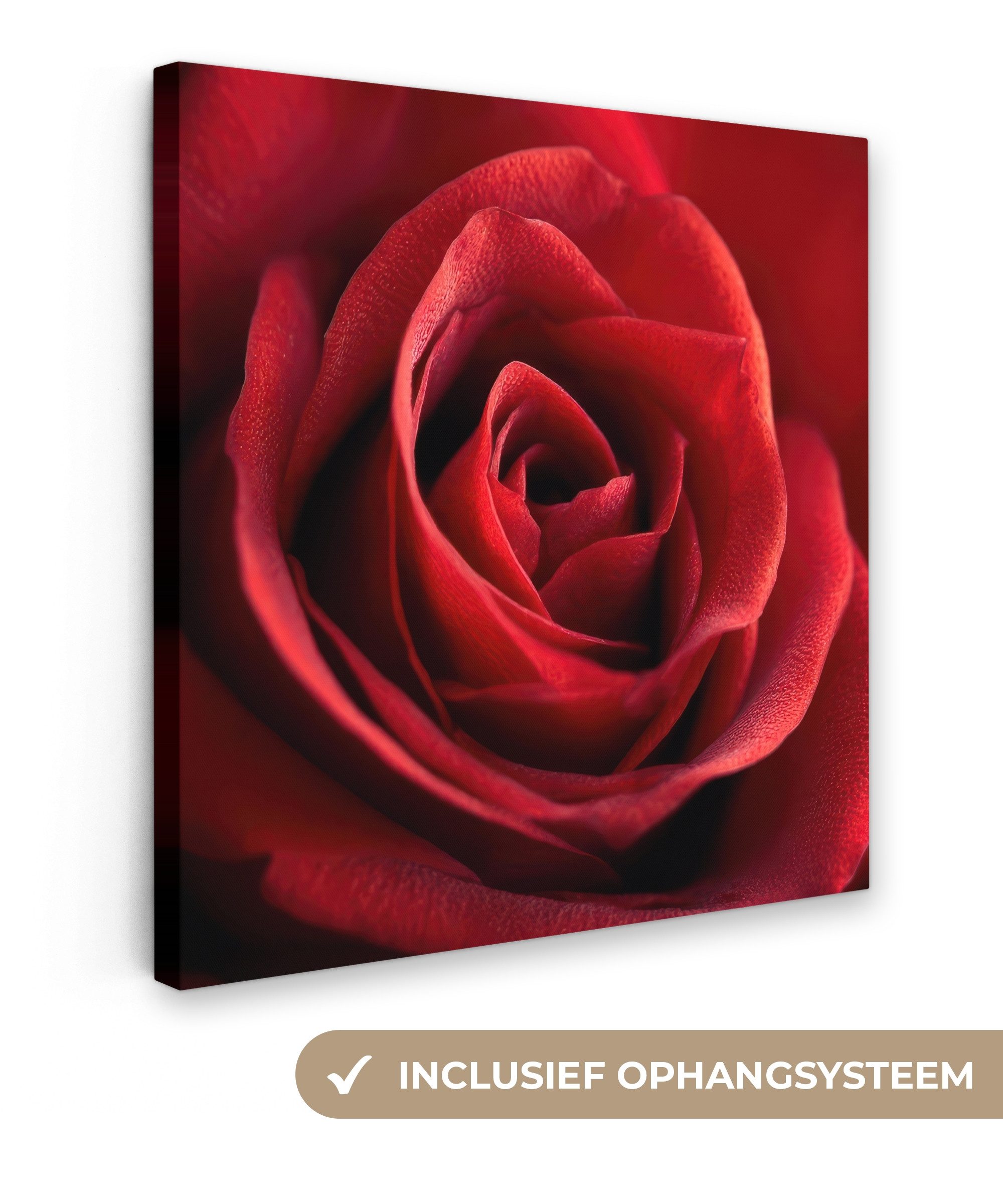 OneMillionCanvasses® Leinwandbild Rot - Rose - Romantisch, Fotodruck (1 St), Wandbild, Deko Schlafzimmer Wohnzimmer Flur 20x20 cm