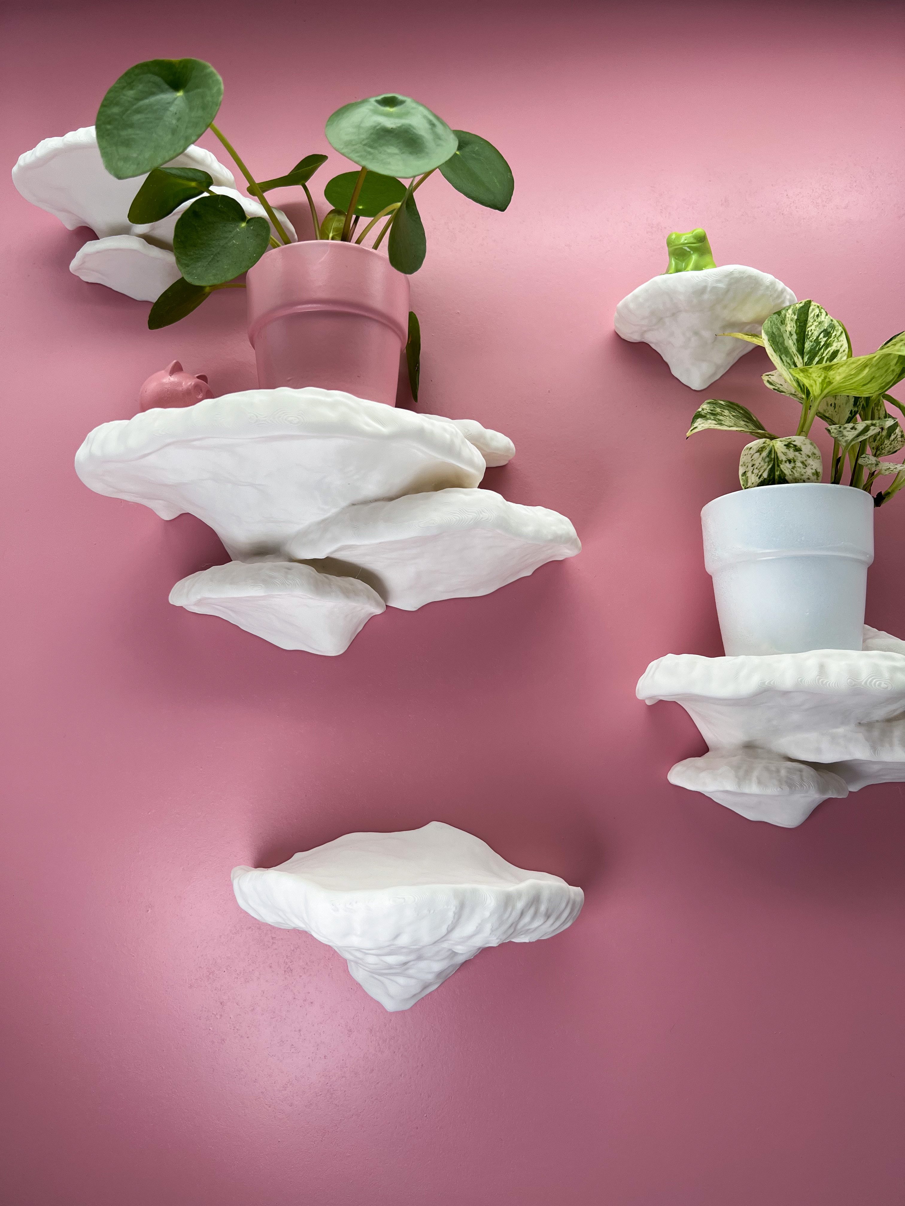 Roomberry Deko-Wandregal Baumschwamm Pilz Wandregal-Set, Pilzregal-Set, Mad günstig online kaufen