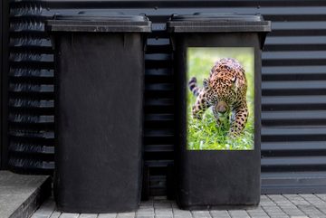 MuchoWow Wandsticker Jaguar - Jagd - Gras (1 St), Mülleimer-aufkleber, Mülltonne, Sticker, Container, Abfalbehälter