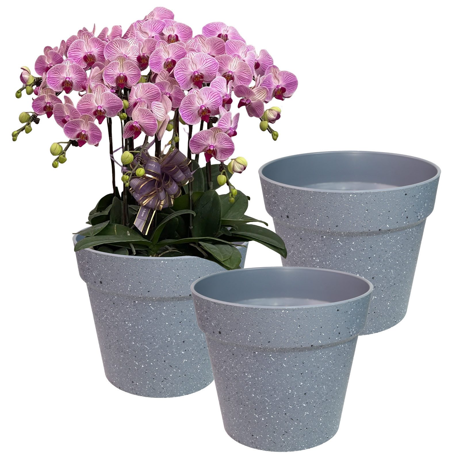 M&W DAS DESIGN Pflanzkübel Blumentopf Übertopf