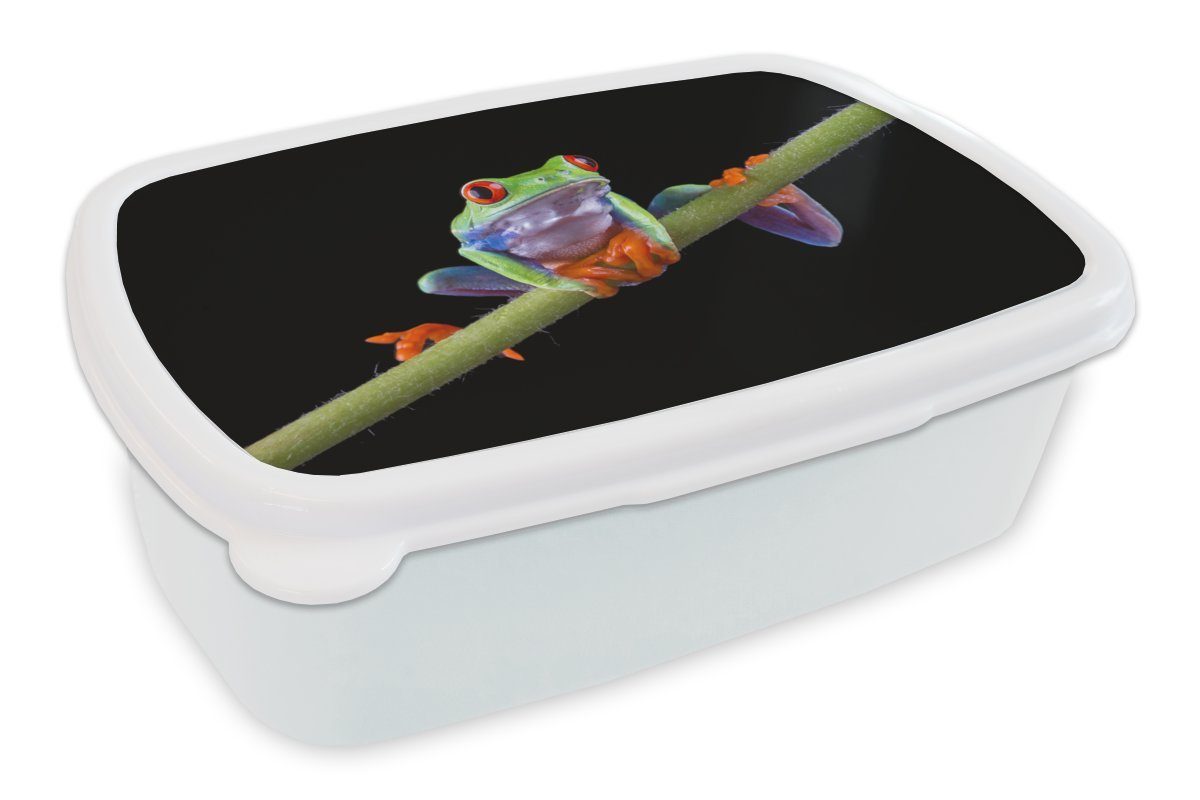MuchoWow Lunchbox Frosch - Bambus - Schwarz, Kunststoff, (2-tlg), Brotbox für Kinder und Erwachsene, Brotdose, für Jungs und Mädchen weiß