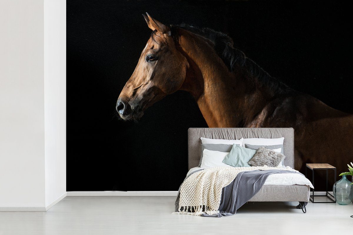 Tapete St), MuchoWow - Nacht Wohnzimmer, Pferd (6 Matt, Vinyl Wallpaper Kinderzimmer, für Schlafzimmer, Fototapete bedruckt, - Tiere Schwarz, -