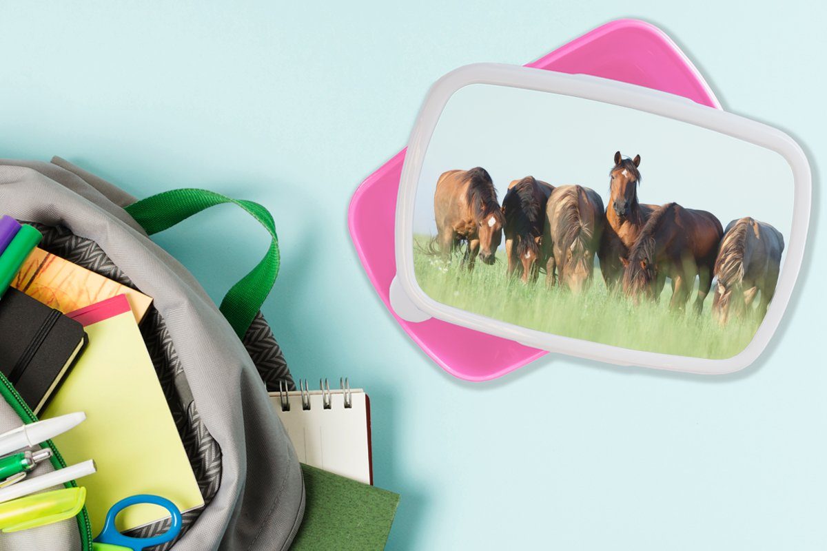MuchoWow Lunchbox Pferde - Tiere Kinder, rosa Snackbox, Erwachsene, Brotdose (2-tlg), Mädchen, für - Brotbox Kunststoff - Kunststoff, Gras Sommer