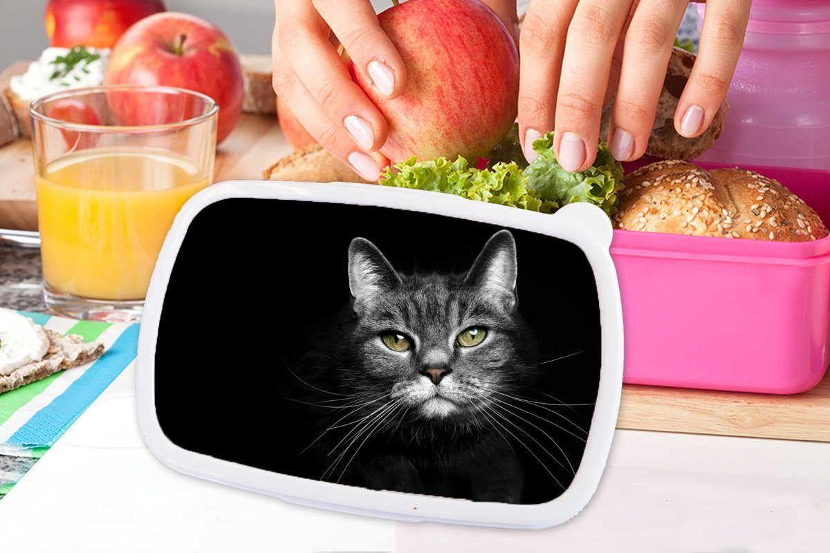 MuchoWow Lunchbox Haustiere - für Mädchen, Brotbox Kinder, Kunststoff, Weiß, - rosa Tiere Erwachsene, Schwarz - Snackbox, Brotdose Katze (2-tlg), Kunststoff 