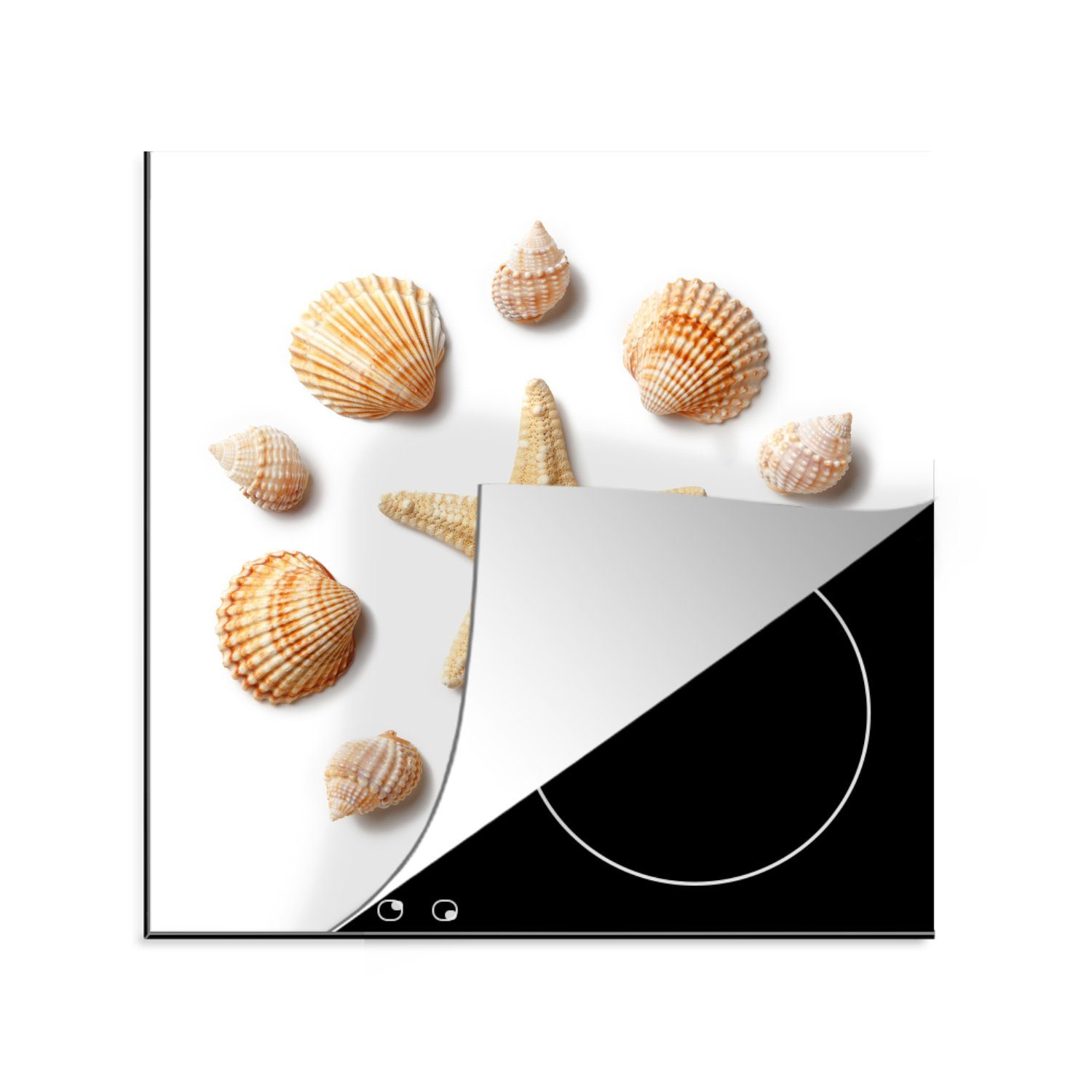 MuchoWow Herdblende-/Abdeckplatte Muscheln - Seesterne - Muster, Vinyl, (1 tlg), 78x78 cm, Ceranfeldabdeckung, Arbeitsplatte für küche