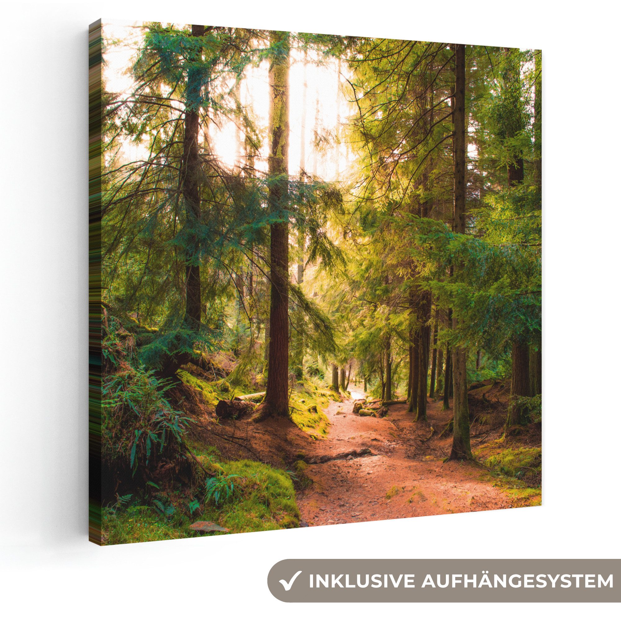 OneMillionCanvasses® Leinwandbild Wald - Weg - Bäume - Grün - Sonne - Natur, Fotodruck (1 St), Wandbild, Deko Schlafzimmer Wohnzimmer Flur 20x20 cm