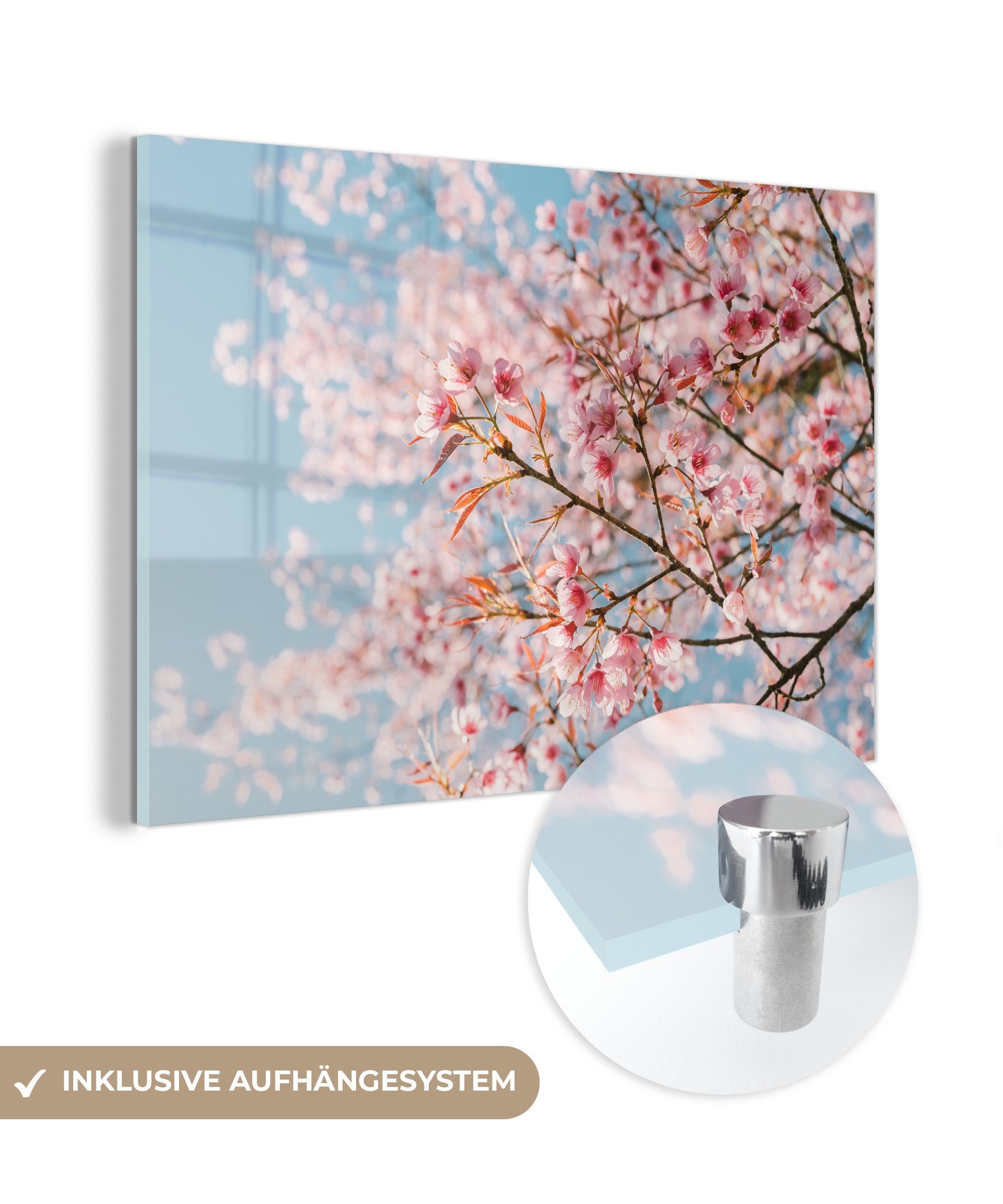 MuchoWow Acrylglasbild Sakura - Frühling - Zweige, (1 St), Acrylglasbilder Wohnzimmer & Schlafzimmer