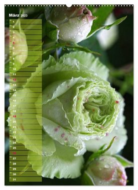 CALVENDO Wandkalender Rosen für DICH / Geburtstagskalender (Premium, hochwertiger DIN A2 Wandkalender 2023, Kunstdruck in Hochglanz)