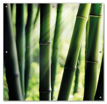 Sonnenschutz Bambuswald und Sonnenstrahlen, Wallario, blickdicht, mit Saugnäpfen, wiederablösbar und wiederverwendbar