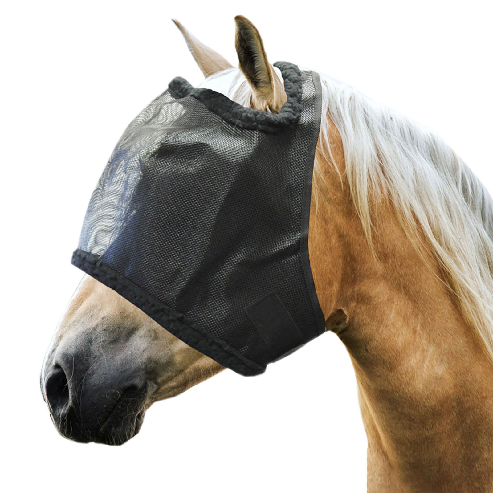 EQuest Fliegenmasken Fliegenhaube für Pferde, L-Full, zum Schutz vor Insekten
