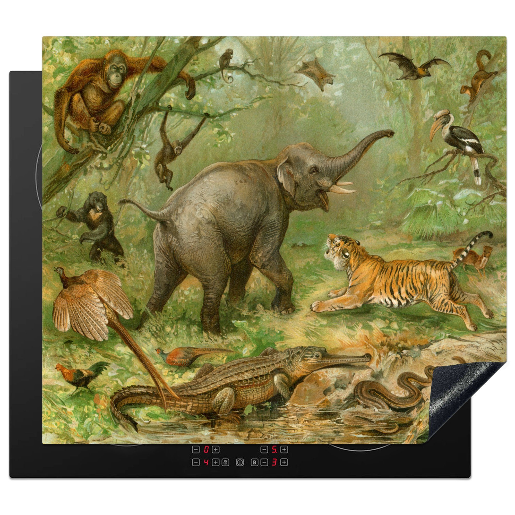 MuchoWow Herdblende-/Abdeckplatte Tiere - Regenwald - Vintage, Vinyl, (1 tlg), 60x52 cm, Mobile Arbeitsfläche nutzbar, Ceranfeldabdeckung