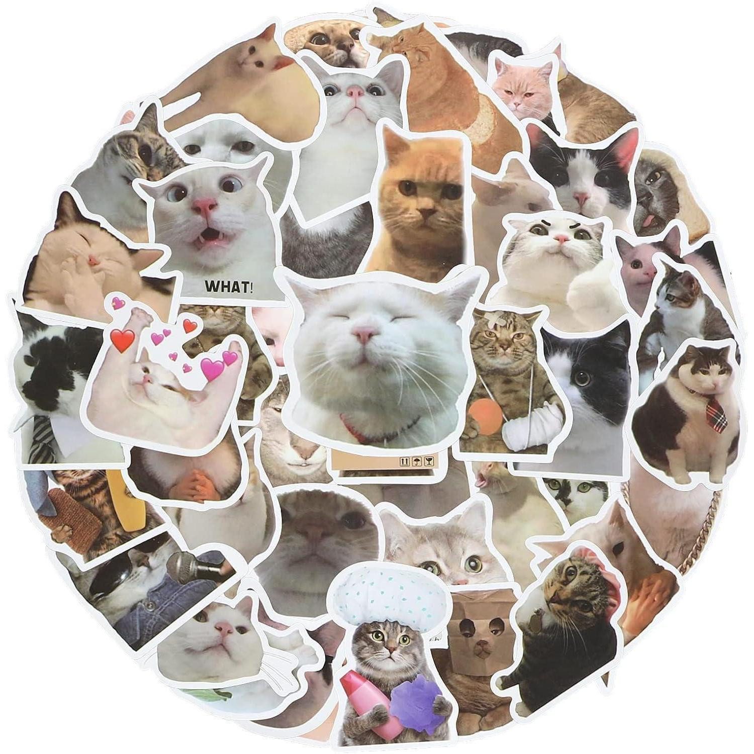 LuxusKollektion Aufkleber Sticker 100er Cat Meme Vinyl Wasserfest Laptop Katzen Aufkleber