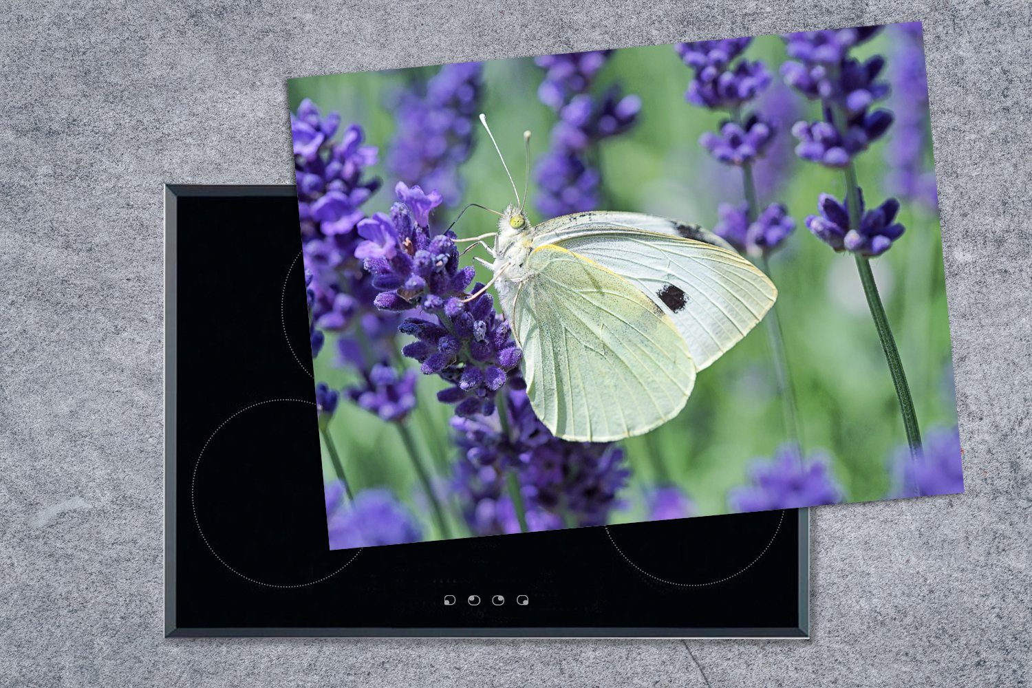 (1 cm, 70x52 Schmetterlingskohl Mobile Ceranfeldabdeckung Lavendel, mit tlg), Vinyl, MuchoWow Herdblende-/Abdeckplatte weiß nutzbar, Arbeitsfläche