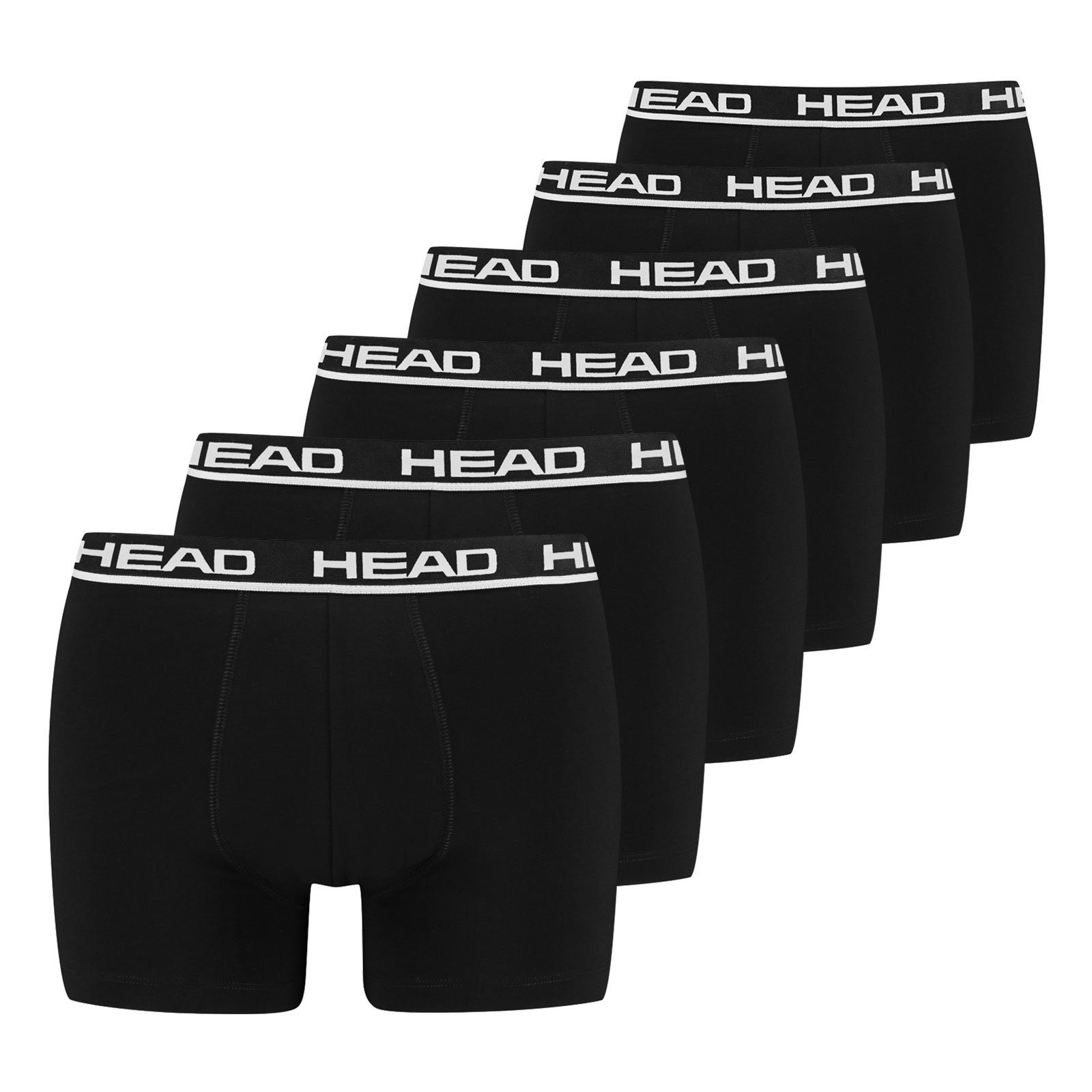 Boxer Basic