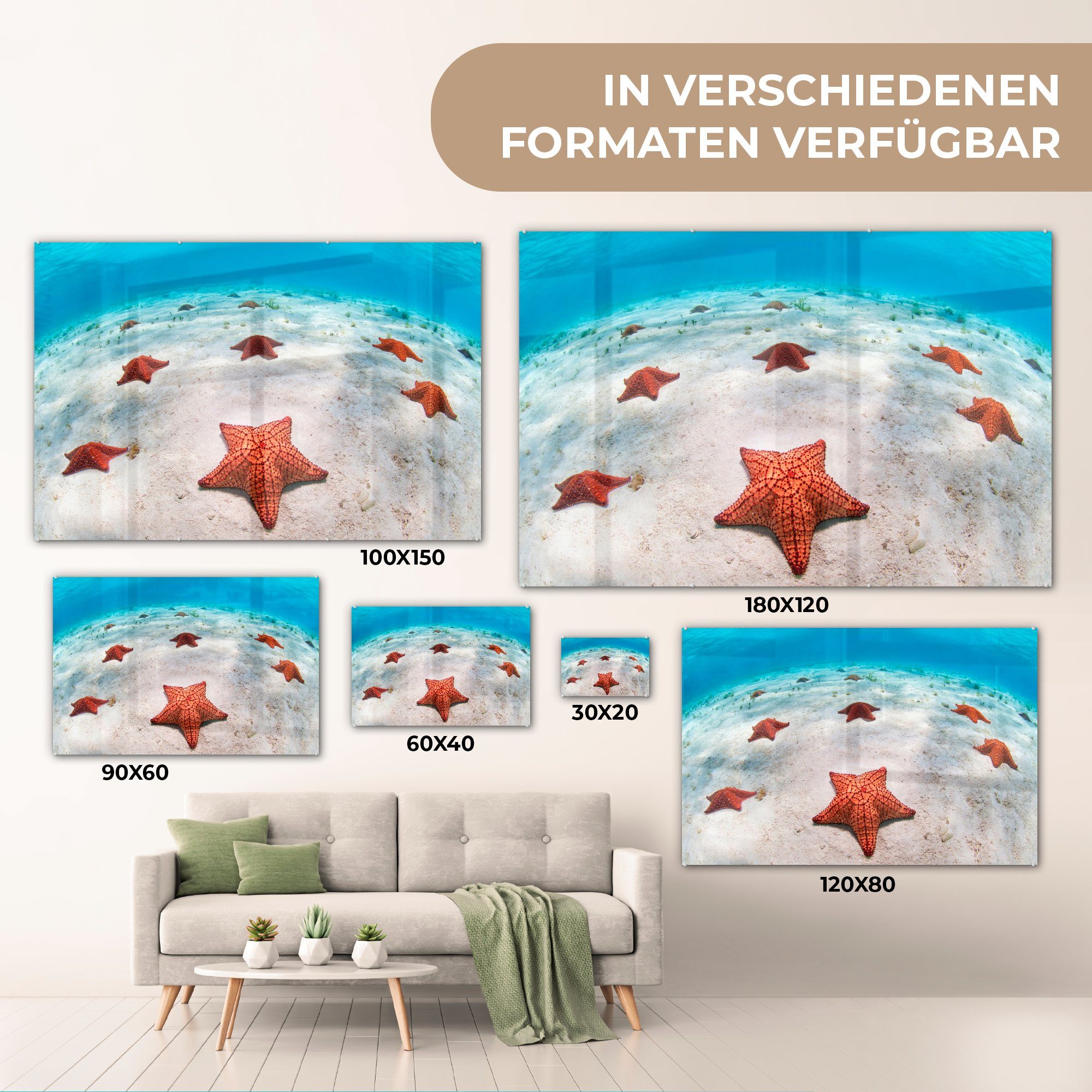 Seesterne dem & auf Wohnzimmer Meeresboden, (1 St), Acrylglasbilder MuchoWow Schlafzimmer Acrylglasbild