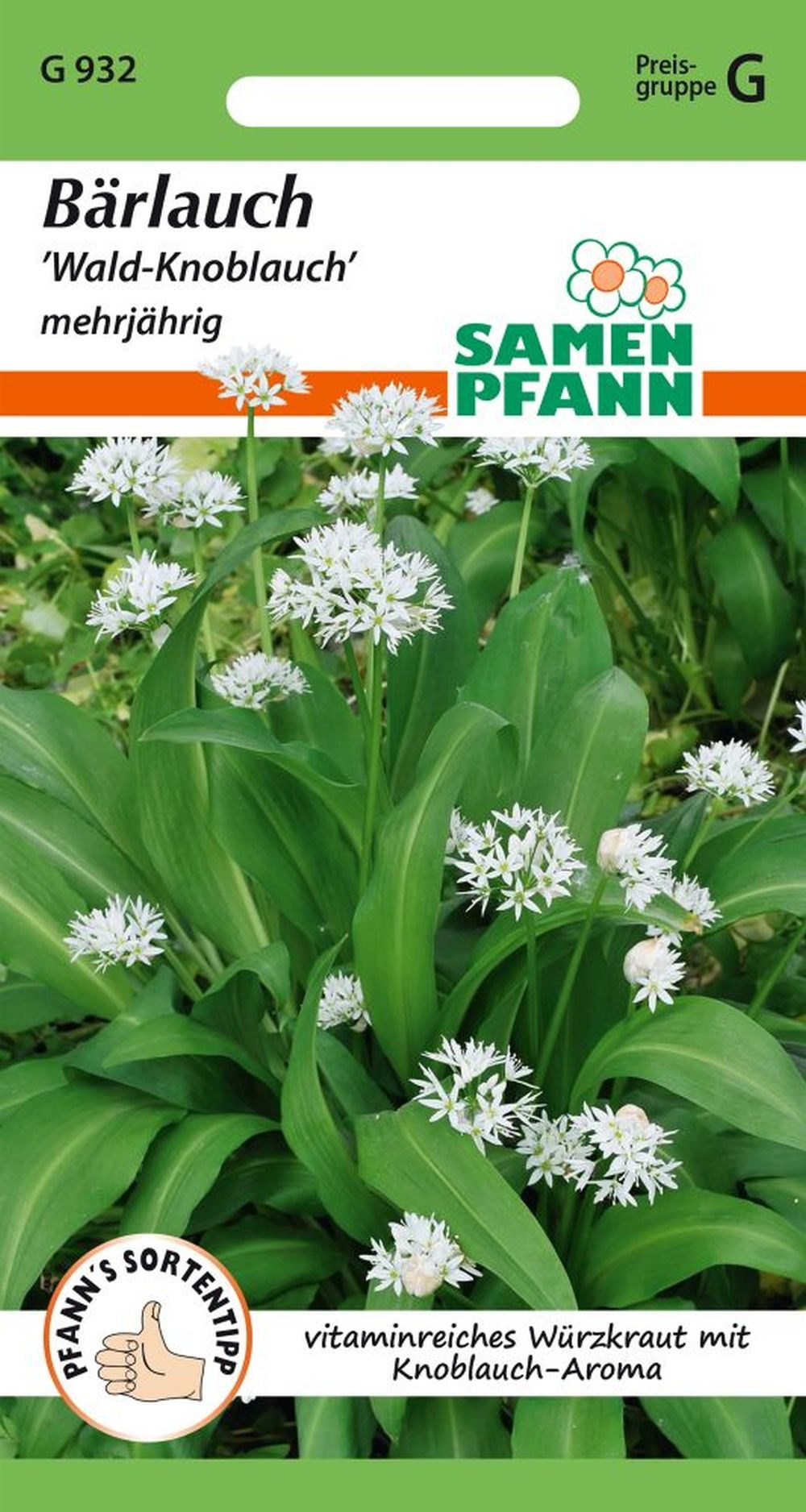 SAMEN PFANN Kräutersamen Bärlauch - Kräuter-Samen Gewürz Saatgut Samen, Allium ursinum