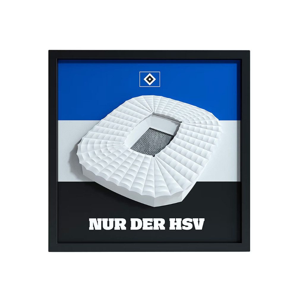 VertriebsArena GmbH Bild mit Rahmen HSV Fanbox