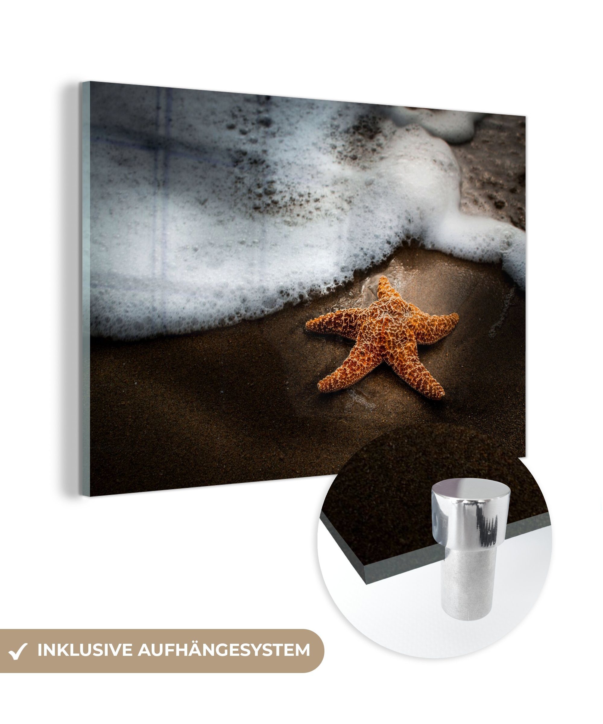 MuchoWow Acrylglasbild Seestern - Sand - Wasser, (1 St), Acrylglasbilder Wohnzimmer & Schlafzimmer