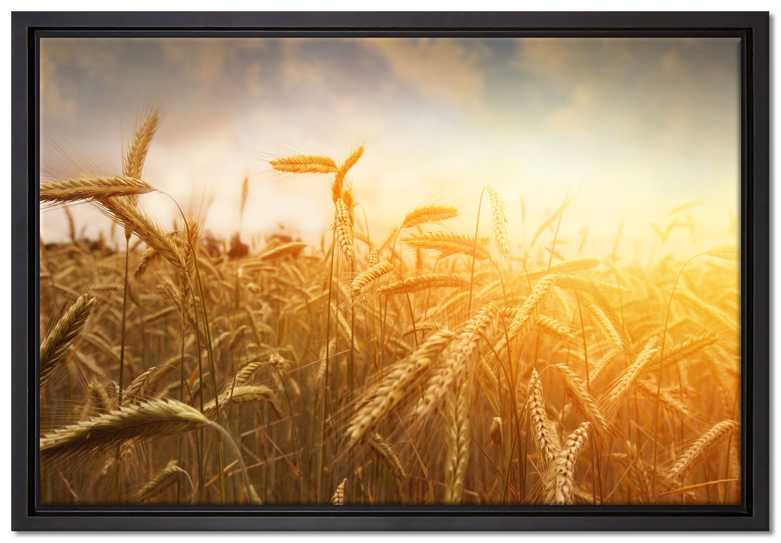 Pixxprint Leinwandbild Getreide im Sonnenlicht, Wanddekoration (1 St), Leinwandbild fertig bespannt, in einem Schattenfugen-Bilderrahmen gefasst, inkl. Zackenaufhänger