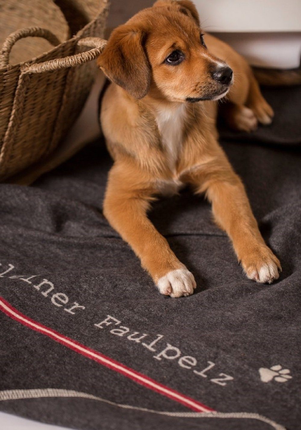 DAVID FUSSENEGGER Tierdecke 'kleiner Faulpelz' 70 x 90 cm Anthrazit