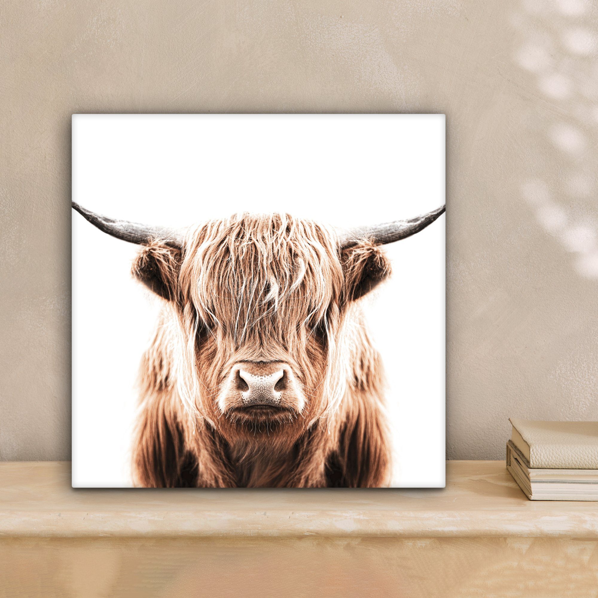 OneMillionCanvasses® Leinwandbild Tiere (1 für - Wohnzimmer 20x20 Schottischer St), cm Leinwand Highlander - Bilder Kuh, Schlafzimmer