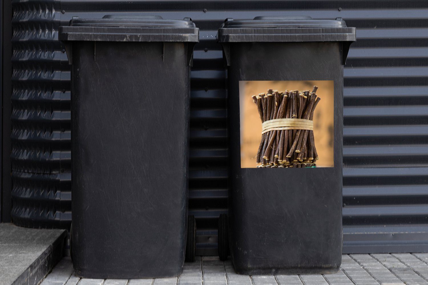 Mülltonne, Salzwasserwurzeln (1 Sticker, Bündel Container, Abfalbehälter Mülleimer-aufkleber, MuchoWow Wandsticker von St),