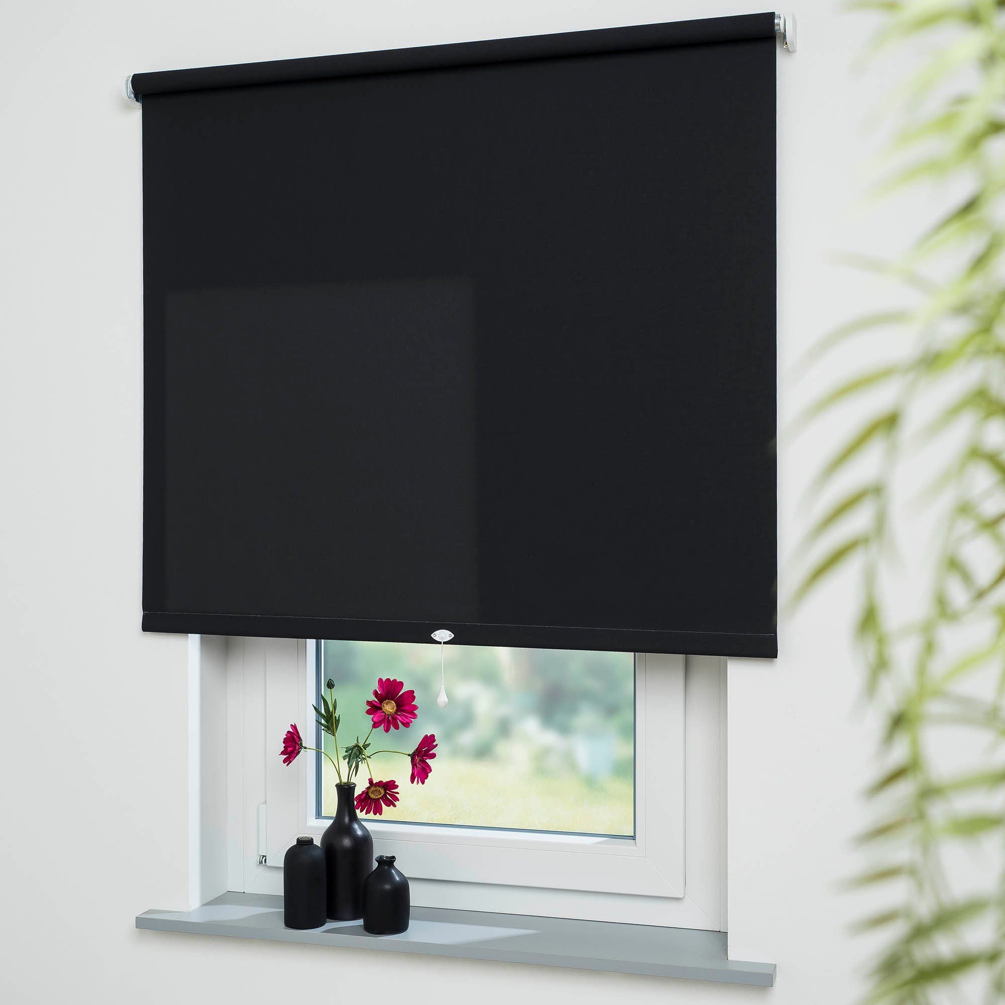 Springrollo Uni, Liedeco, Lichtschutz, mit Bohren/ohne günstig online kaufen