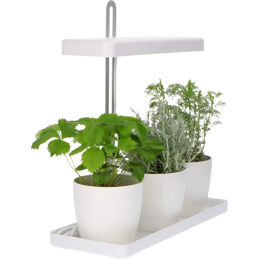 LED's light LED Dekolicht 402002 Design Kräutergarten, mit höhenverstellbarem 20W Pflanzenlicht