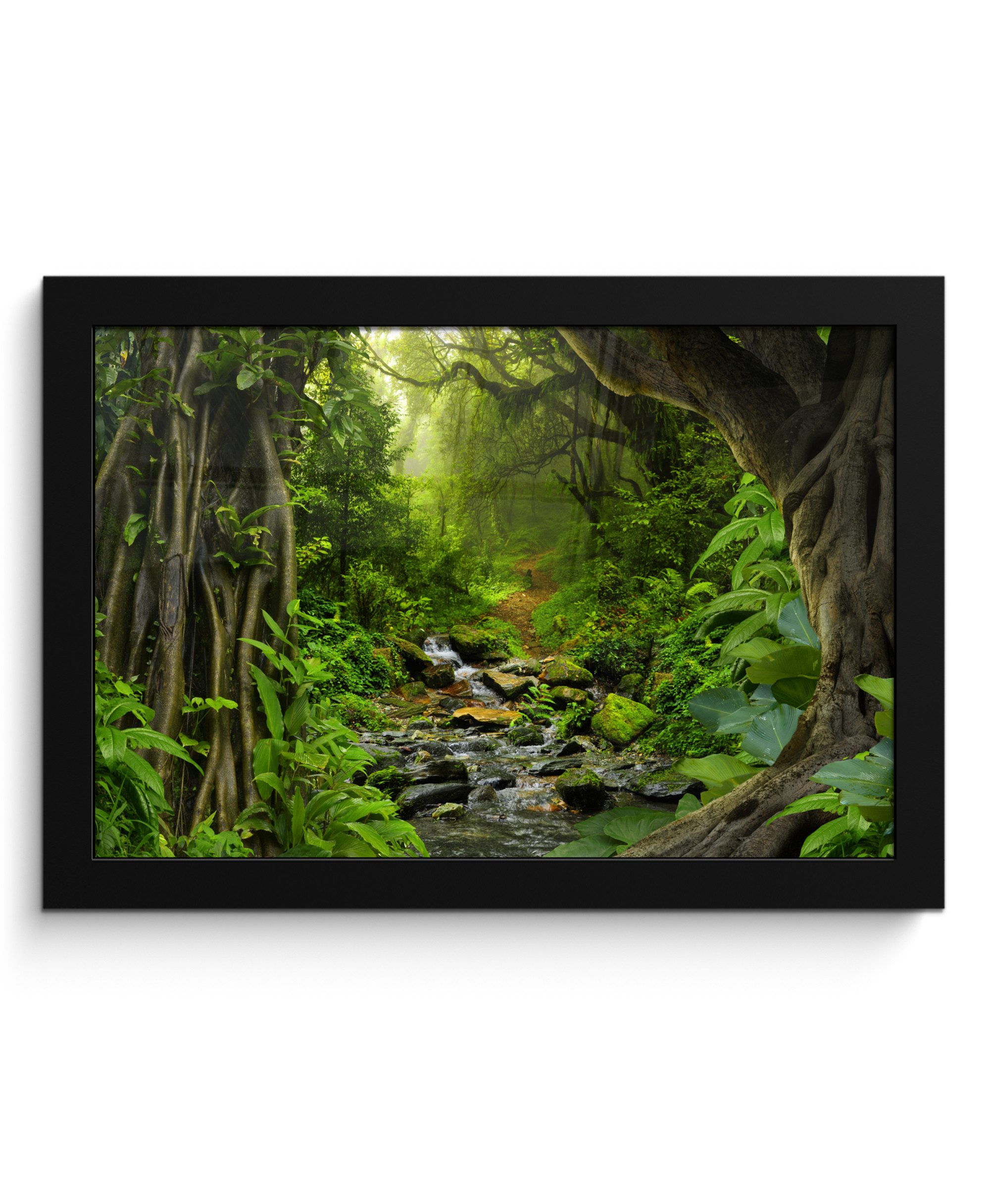 Poster Natur - Wasser - Dschungel - Wald - Tropisch