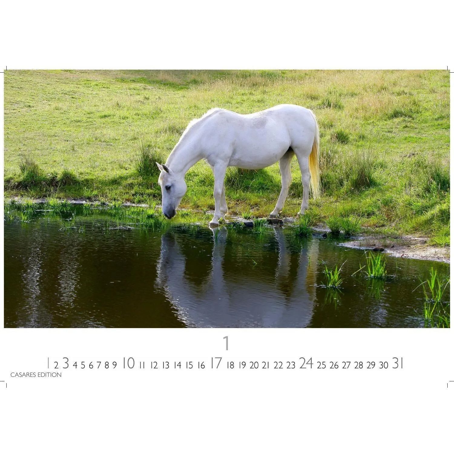 Wandkalender Pferde Kalender 2027 - Wandkalender, Fotokalender Tierkalender... – Bild 2 von 5
