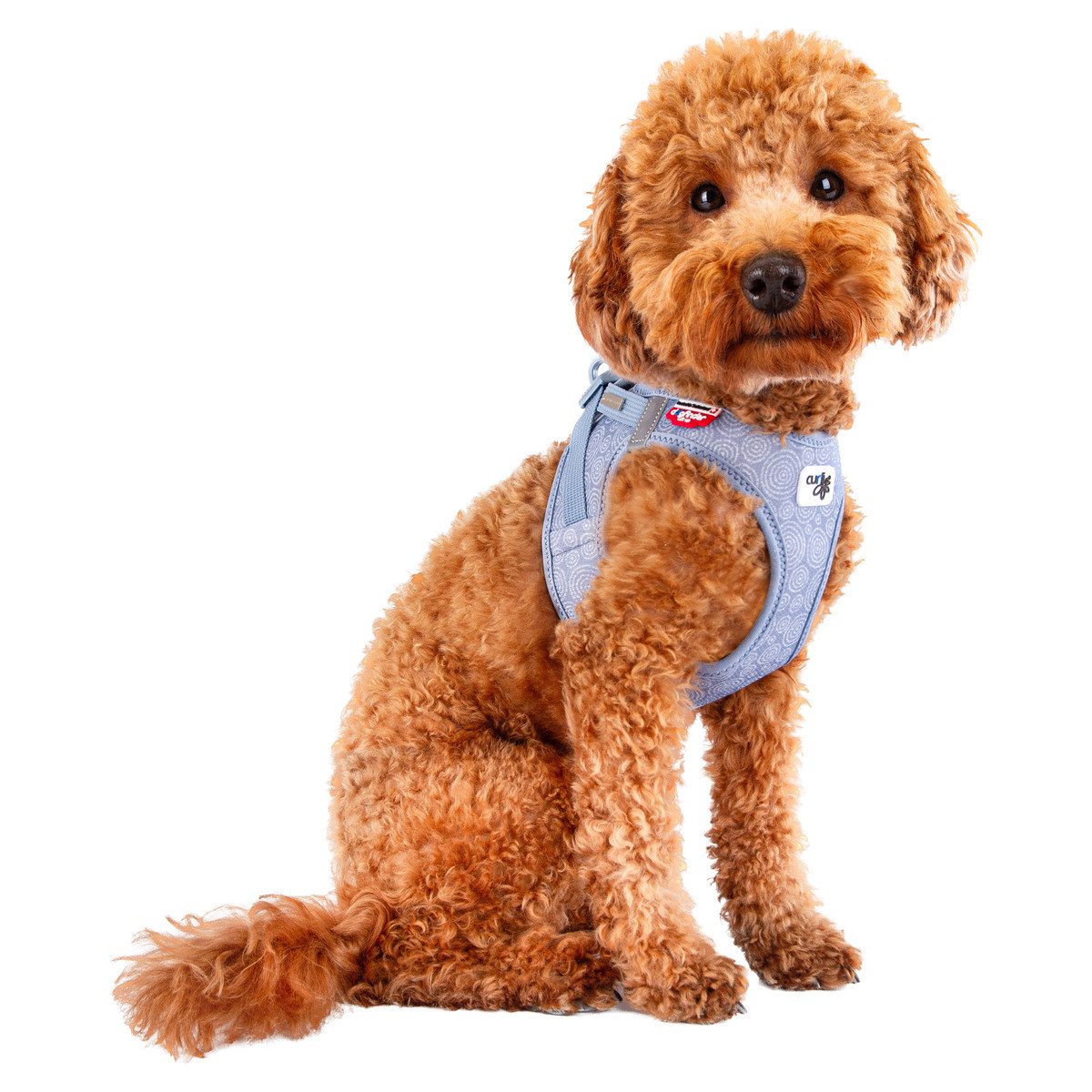 Curli Hunde-Geschirr Clasp Vest Geschirr Special günstig online kaufen