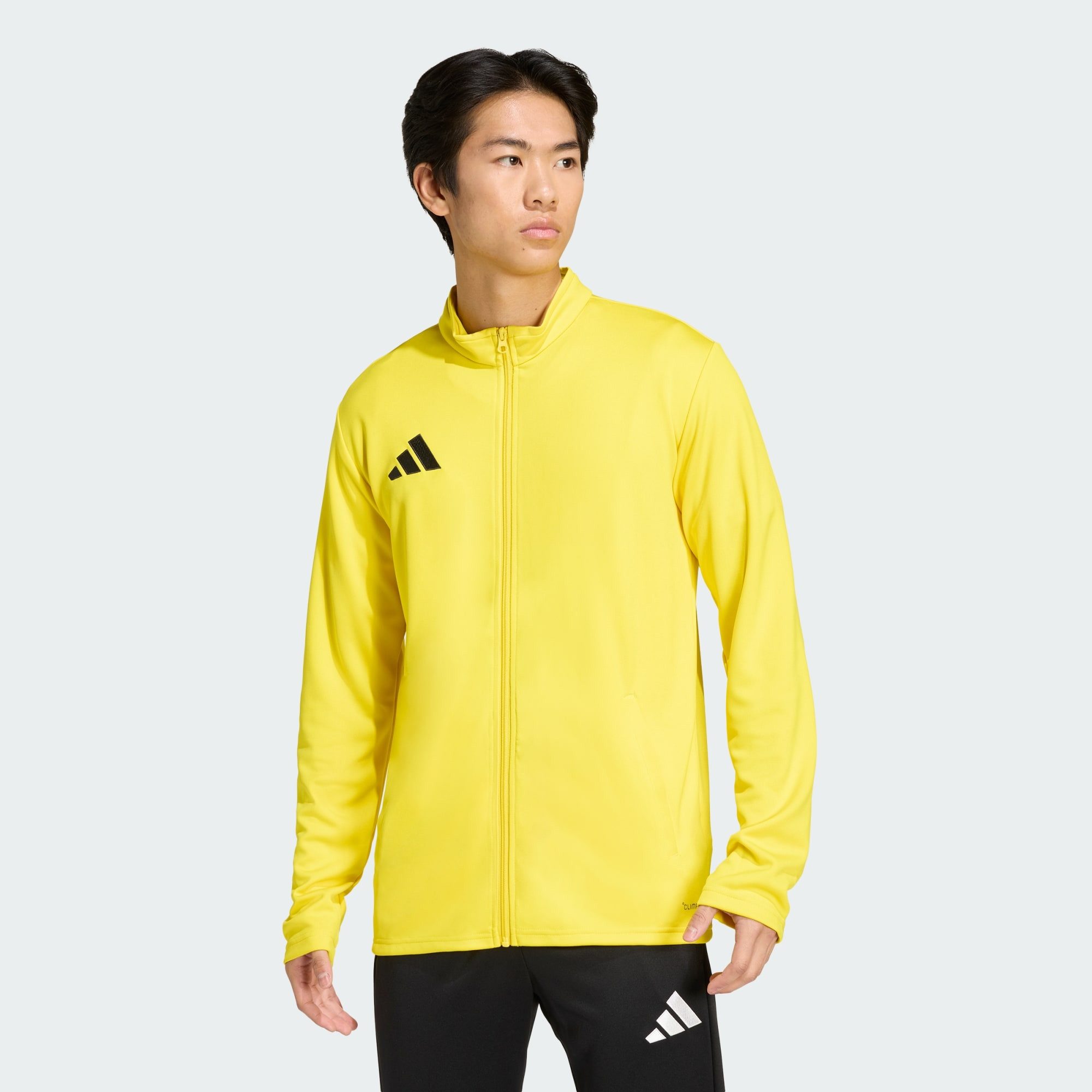 adidas Performance Trainingsjacke ENTRADA26 ORIGINALS JACKE (1-St)