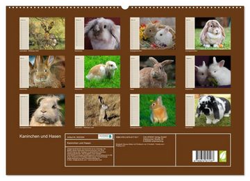 CALVENDO Wandkalender Kaninchen und Hasen (Premium, hochwertiger DIN A2 Wandkalender 2023, Kunstdruck in Hochglanz)