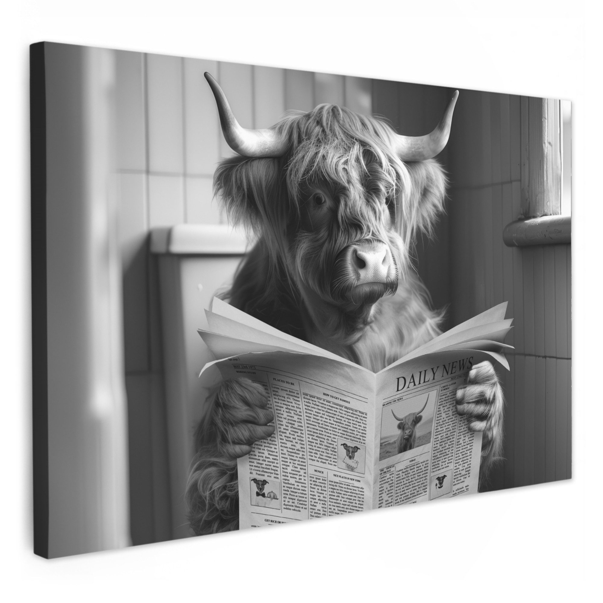 Leinwandbild Scottish Highlander - Kuh - Zeitung - WC - Schwarz und weiß