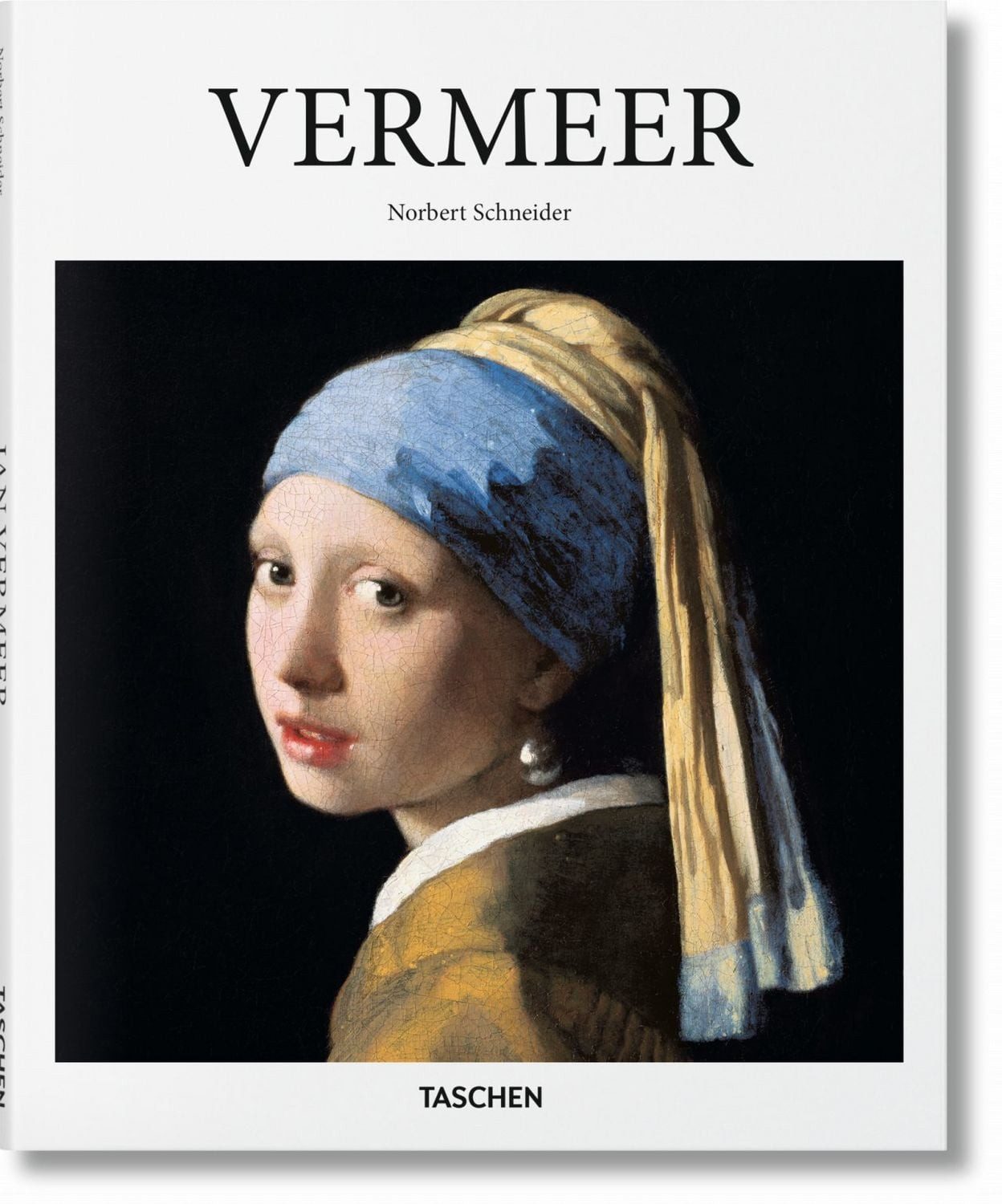 Vermeer Verhüllung der Gefühle / Norbert Schneider