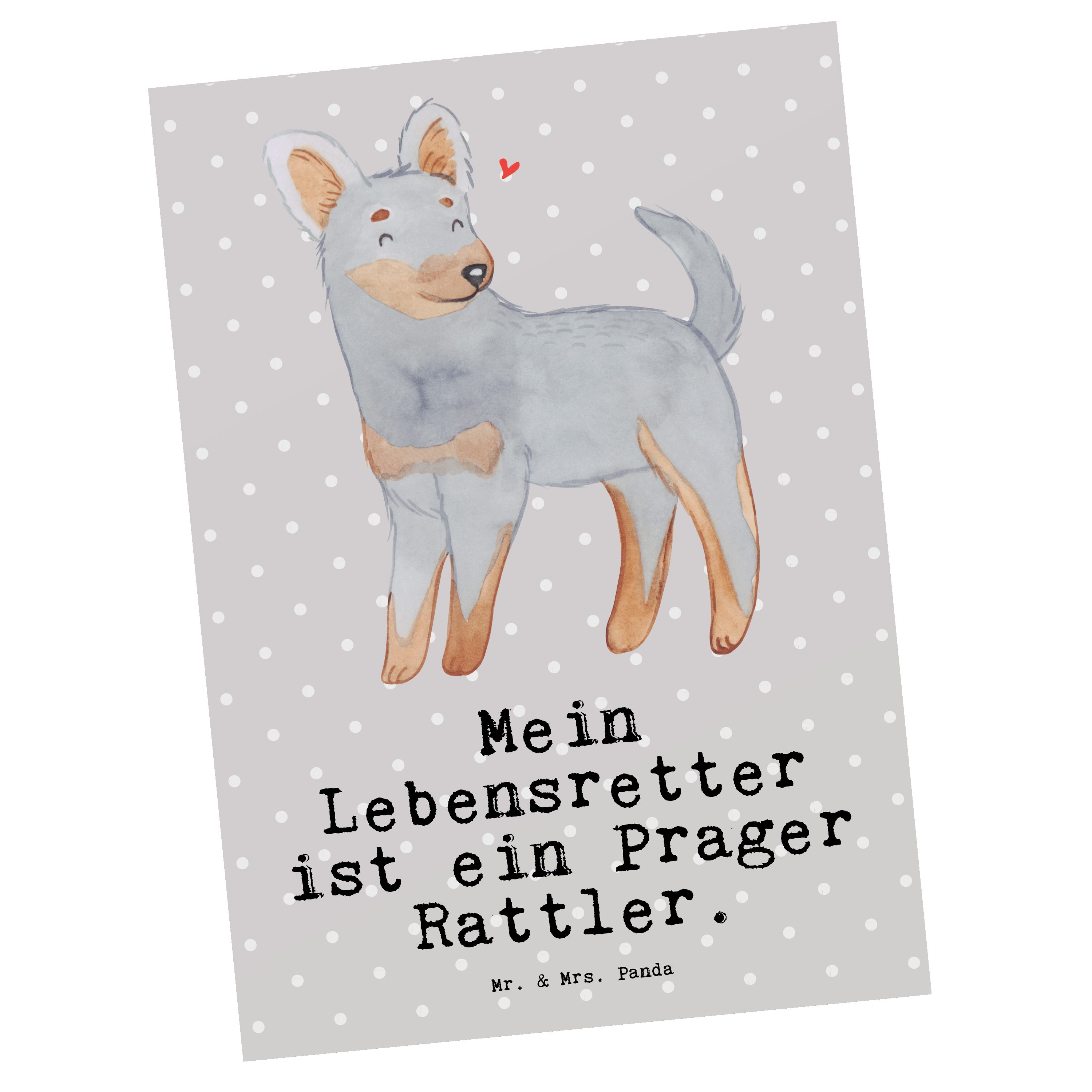 Mr. & Mrs. Panda Postkarte Prager Rattler Lebensretter - Grau Pastell - Geschenk, Rassehund, Hun