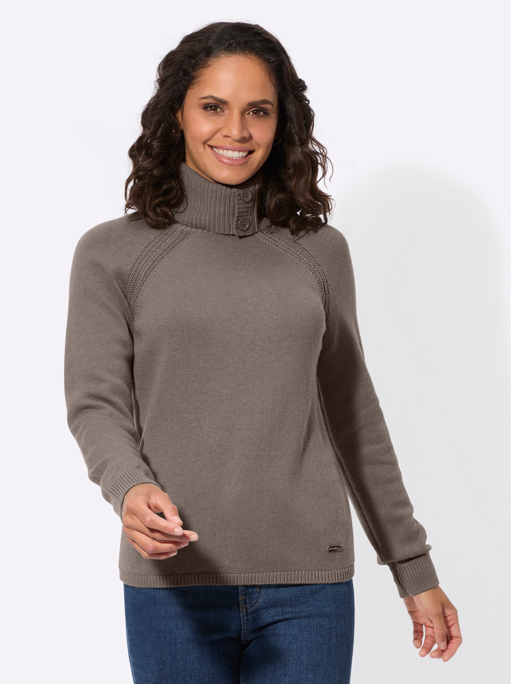 Strickpullover Rollkragenpullover