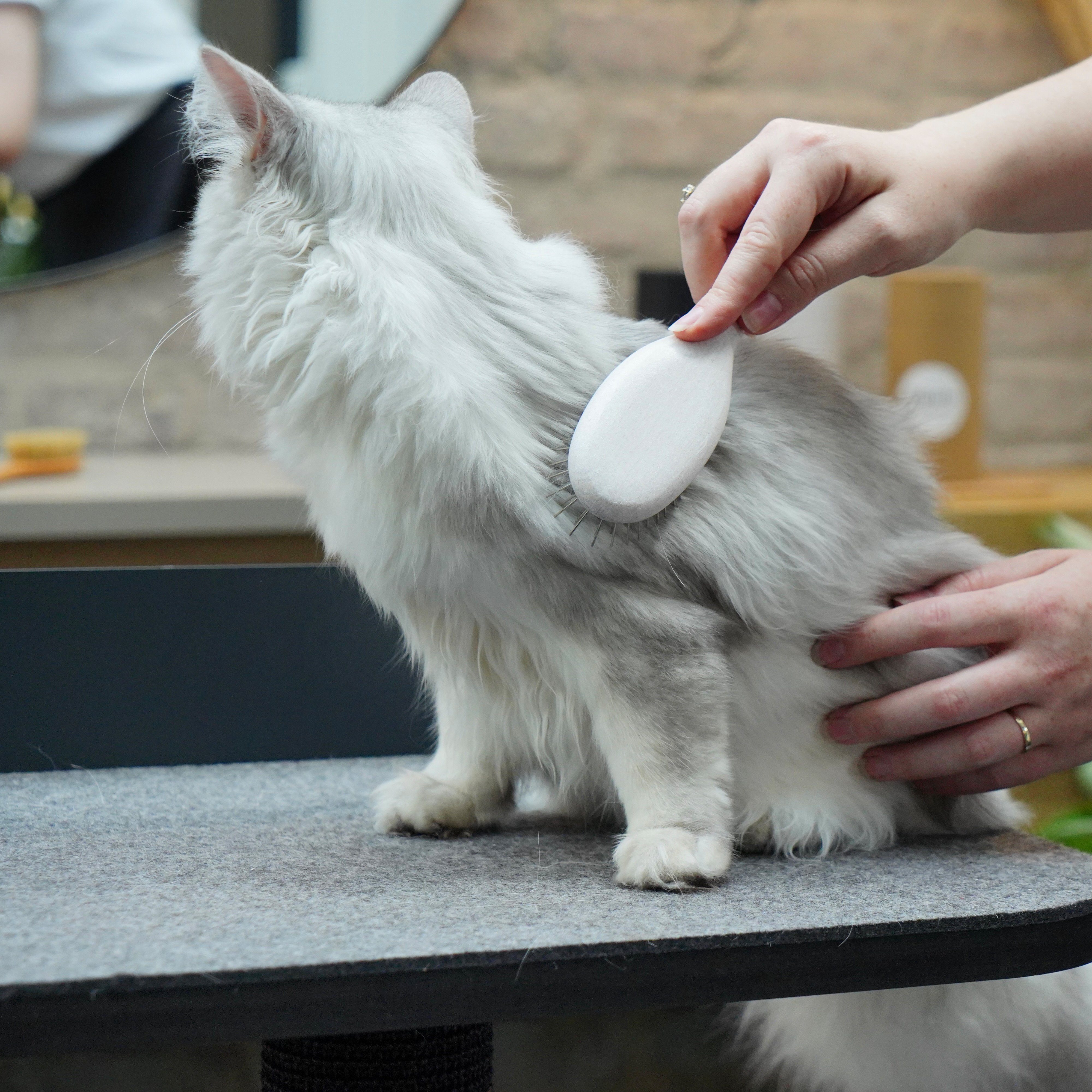 LucyBalu Katzenliege FIGARO für Katzen, für Katzen mit kurzem und langem Fell