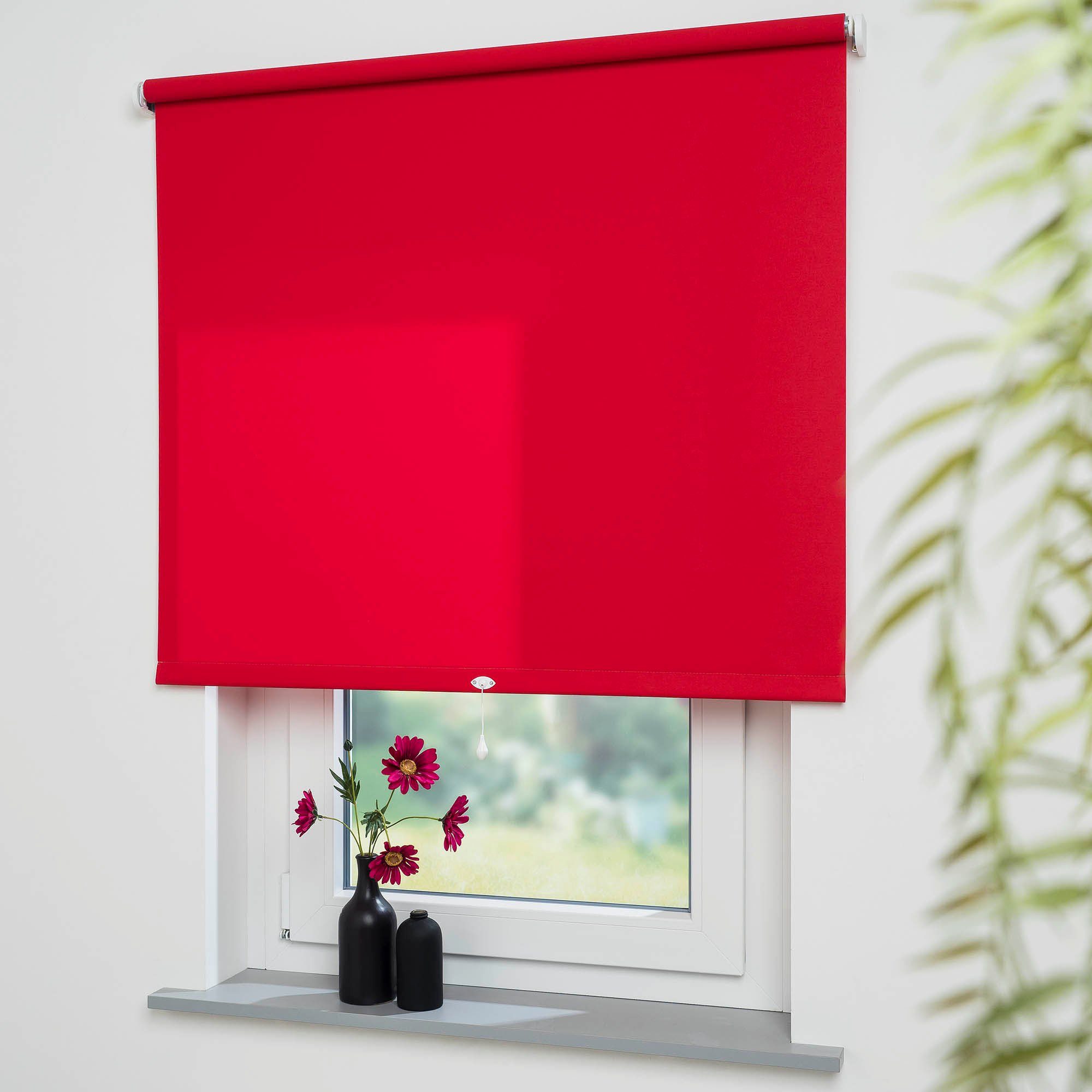 Springrollo Uni, Liedeco, Lichtschutz, mit Bohren/ohne günstig online kaufen